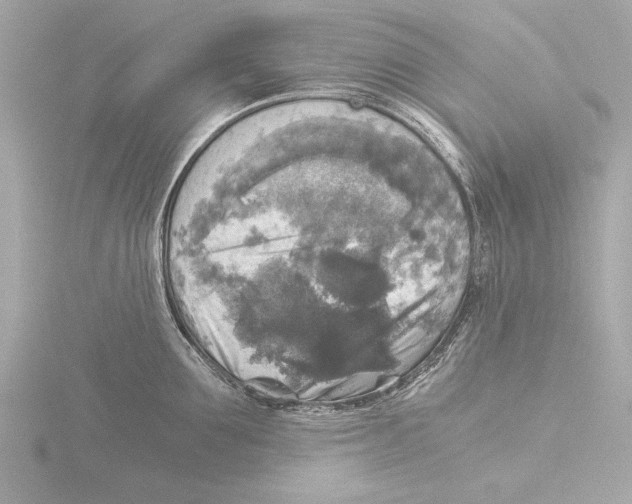 X0000116020907200912181147