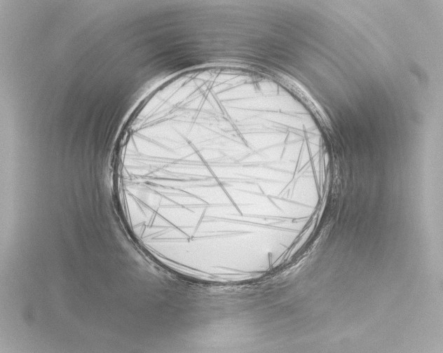 X0000116020908200912181147