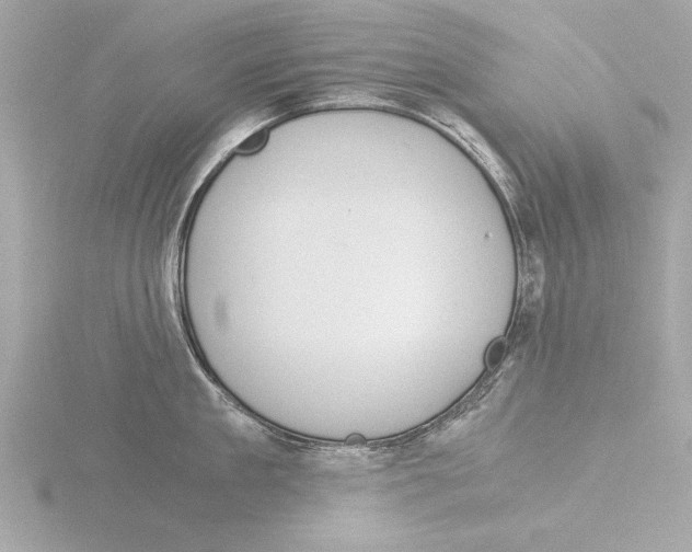 X0000116020909200912181147