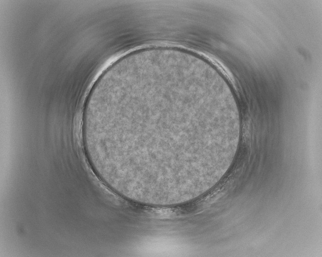 X0000116020911200912181147