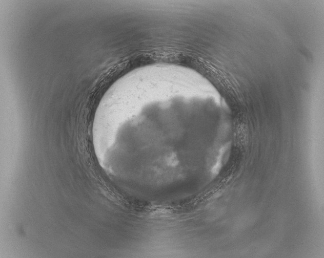 X0000116020913200912181146