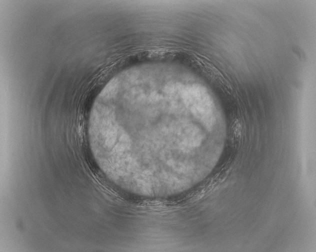 X0000116020914200912181146