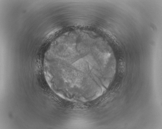 X0000116020918200912181146