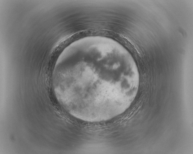 X0000116020919200912181146