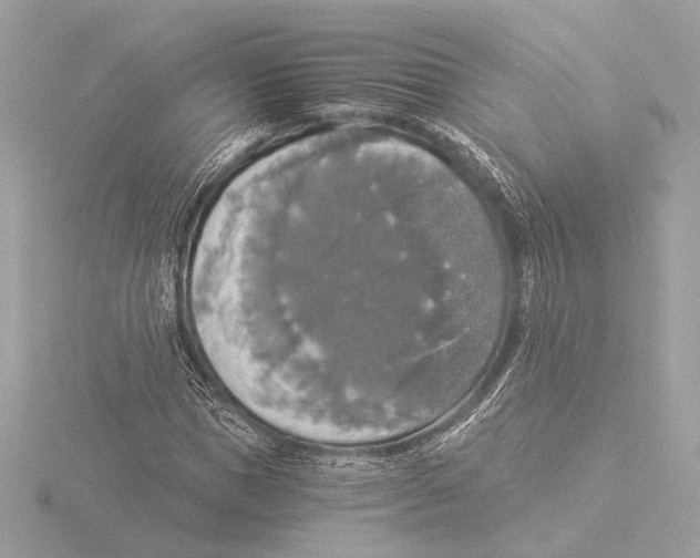 X0000116020921200912181146