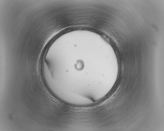 X0000116020925200912181146