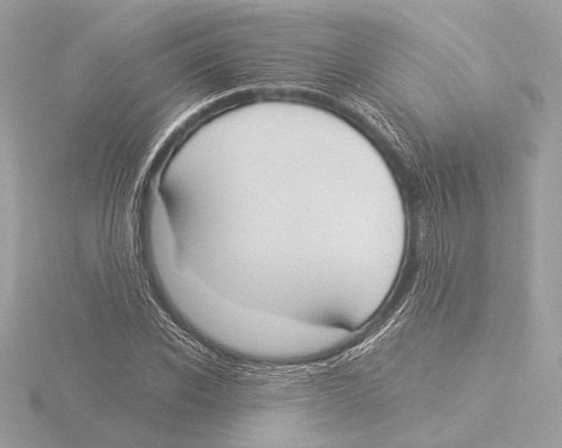 X0000116020926200912181146