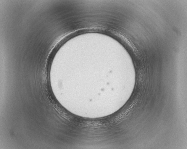 X0000116020927200912181146