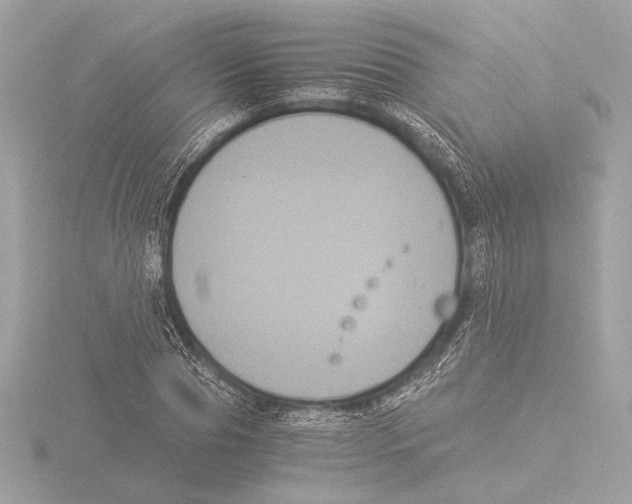 X0000116020929200912181146