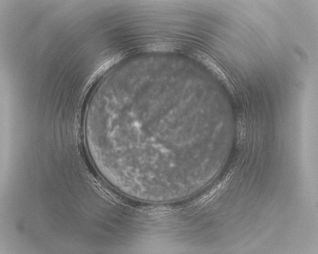 X0000116020930200912181146