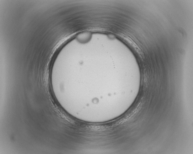 X0000116020933200912181146