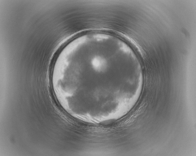 X0000116020935200912181146