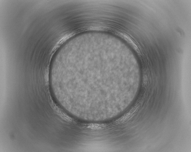 X0000116020938200912181146