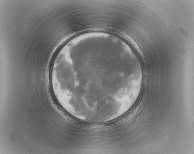 X0000116020939200912181146