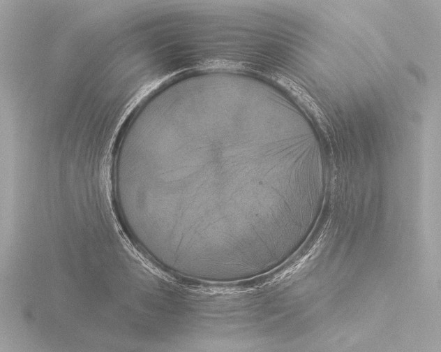 X0000116020941200912181146