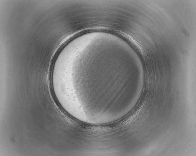 X0000116020943200912181146