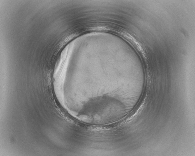 X0000116020945200912181146