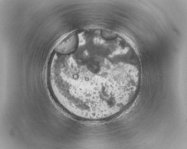 X0000116020949200912181147