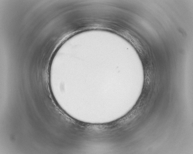 X0000116020950200912181147