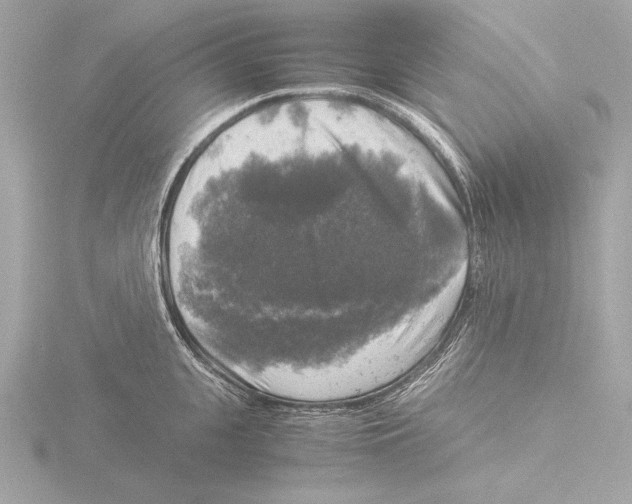 X0000116020951200912181147