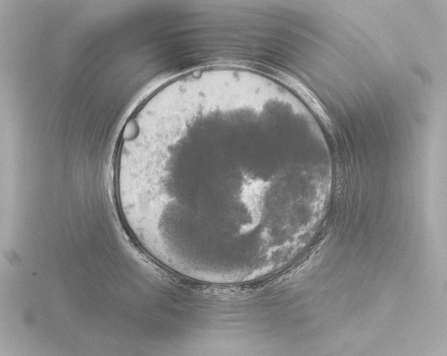 X0000116020955200912181147