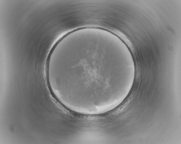 X0000116020958200912181147