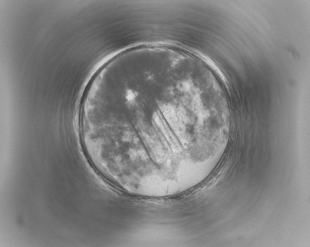 X0000116020959200912181147