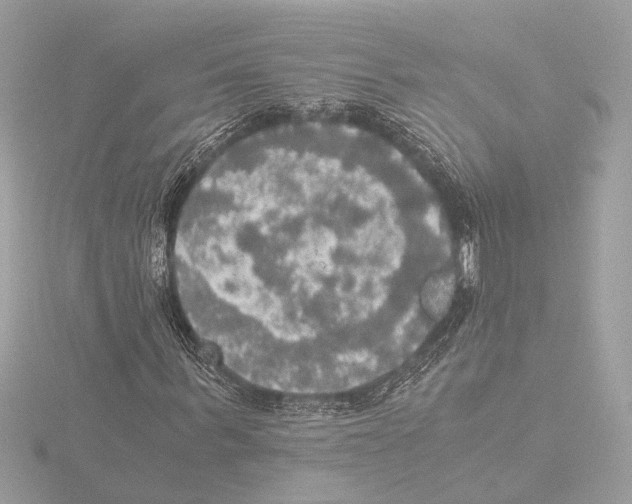 X0000116020963200912181146