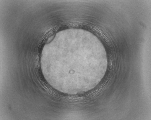 X0000116020964200912181146