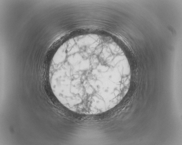 X0000116020967200912181146