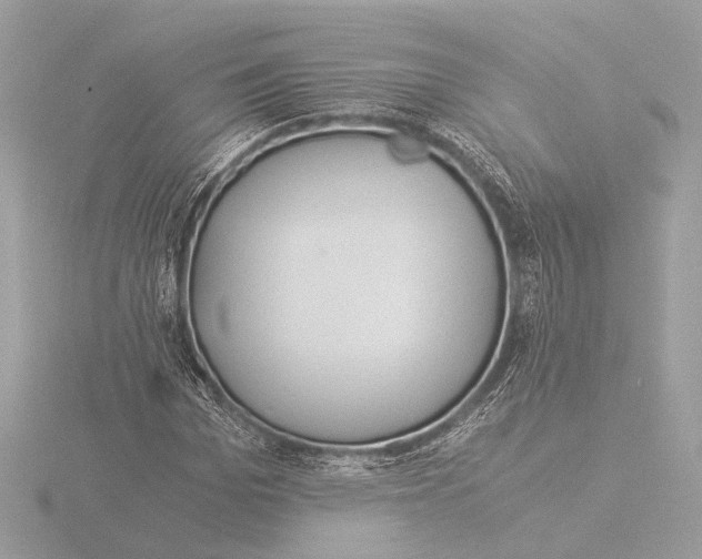 X0000116020969200912181146