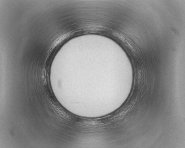 X0000116020970200912181146