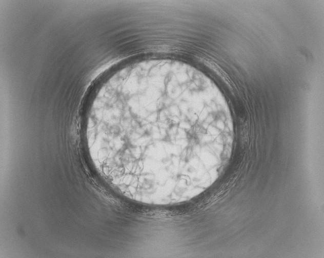 X0000116020971200912181146