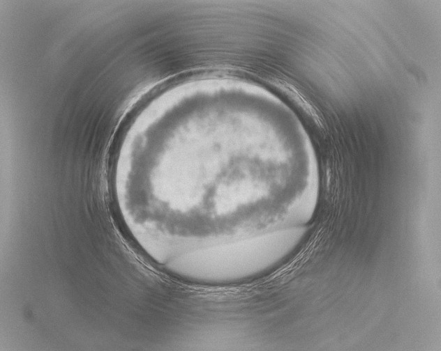 X0000116020972200912181146