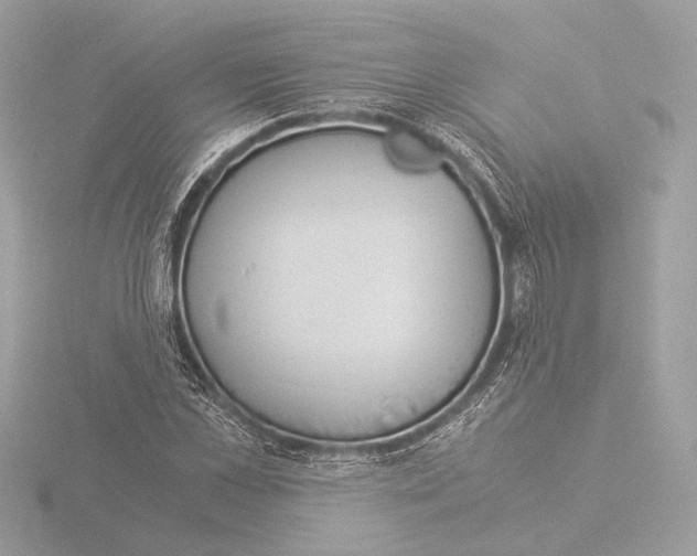 X0000116020973200912181146