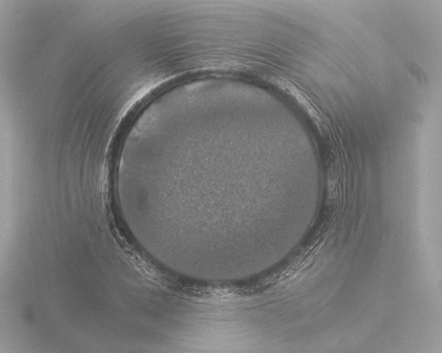 X0000116020975200912181146