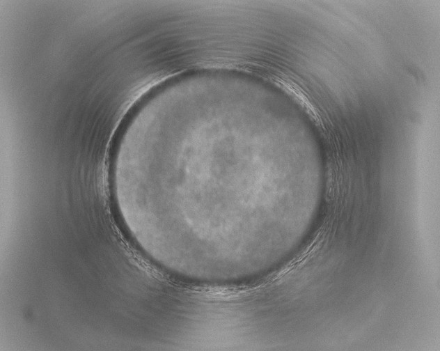 X0000116020976200912181146