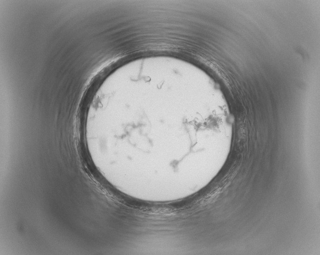 X0000116020979200912181146