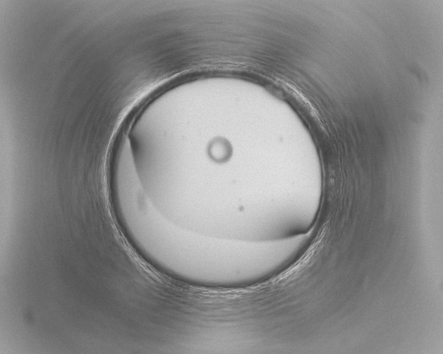 X0000116020981200912181146