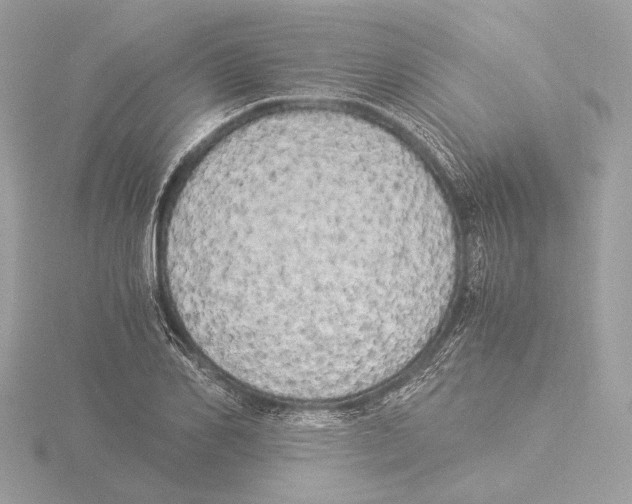 X0000116020982200912181146