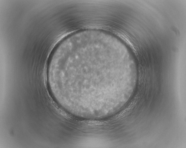 X0000116020984200912181146