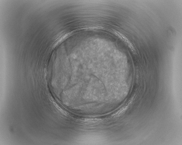 X0000116020985200912181146