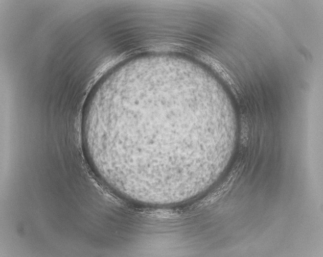 X0000116020986200912181146