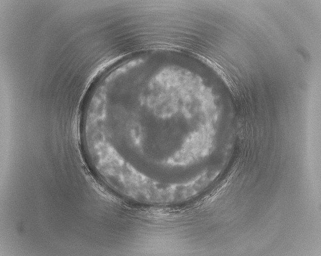 X0000116020987200912181146