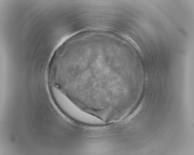 X0000116020989200912181146