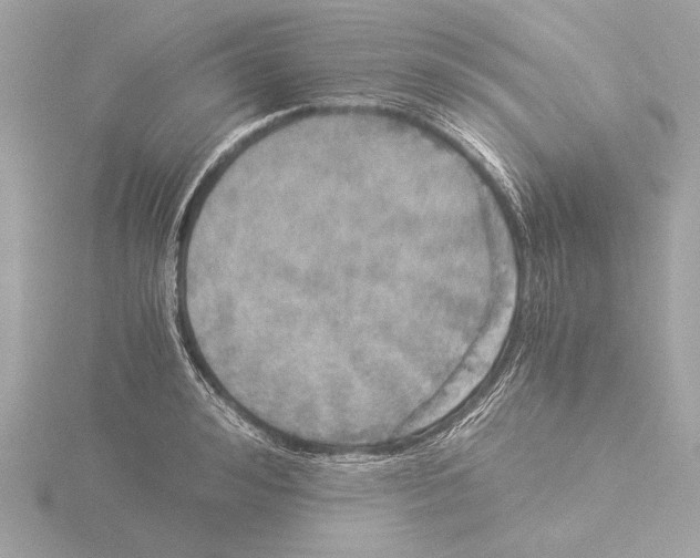 X0000116020992200912181146