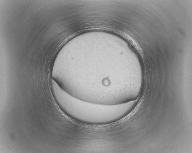 X0000116020993200912181146