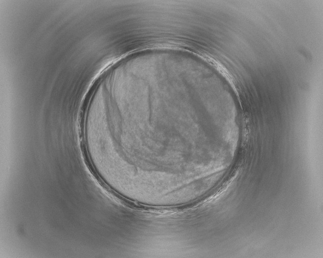 X0000116020997200912181146