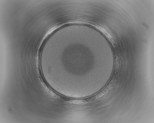 X0000116020998200912181146