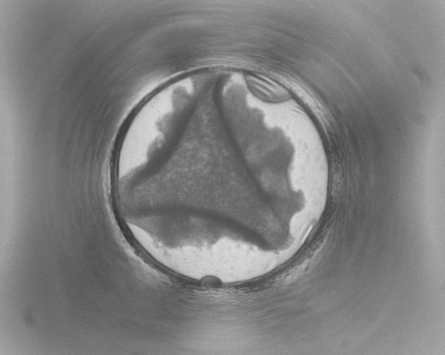 X0000116020999200912181146